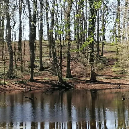 Pałac Paprotno Apartament