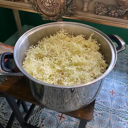 Palac Paprotno דירה *