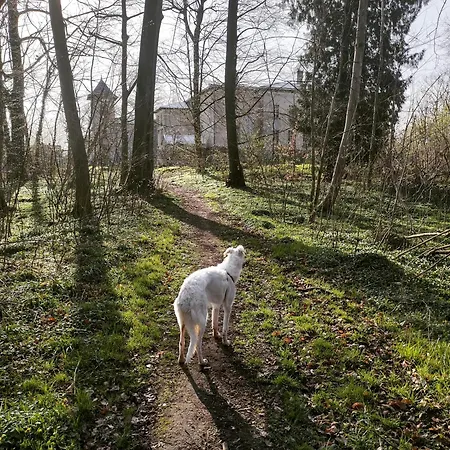 Apartamento Palac Paprotno