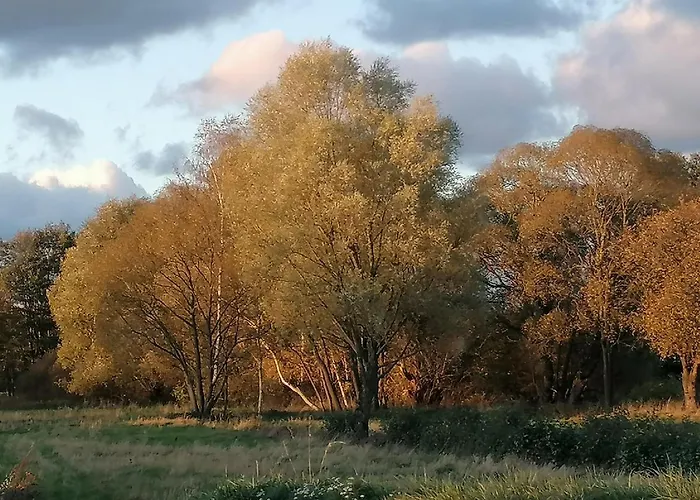 Apartamento Palac Paprotno *