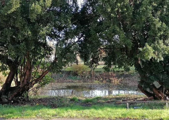 Palac Paprotno * Karnice