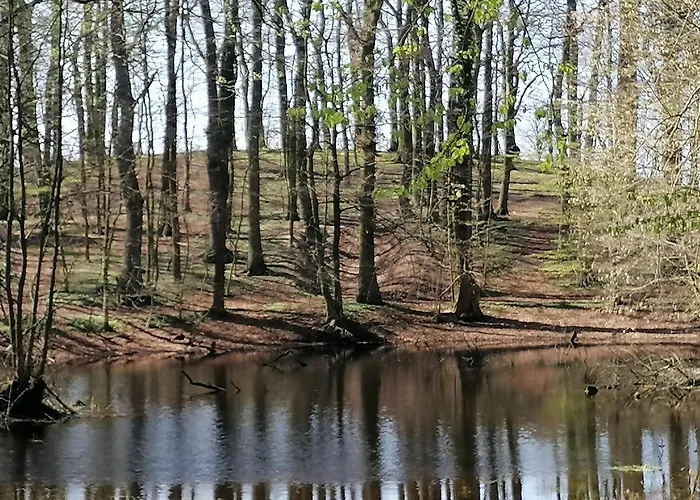 Palac Paprotno Apartamento