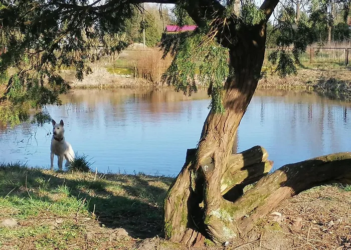 Apartamento Palac Paprotno