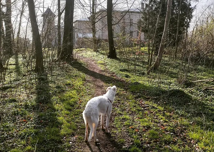 Apartamento Palac Paprotno